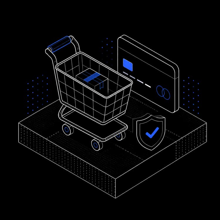 Secure Your E-commerce Store